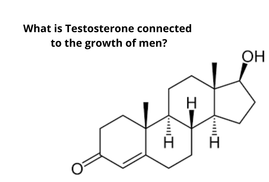 What is Testosterone connected to the growth of men