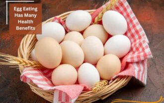 Egg Eating Has Many Health Benefits