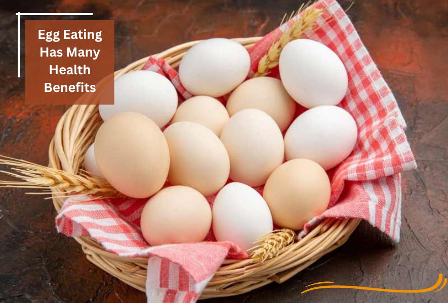 Egg Eating Has Many Health Benefits